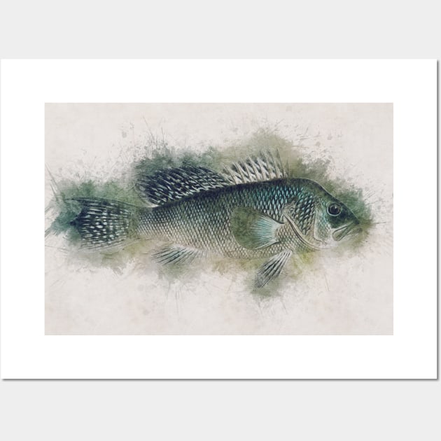 Sea Bass Watercolor Art for the Fishing Lovers and Anglers / Gifts for Fisherman Wall Art by Naumovski